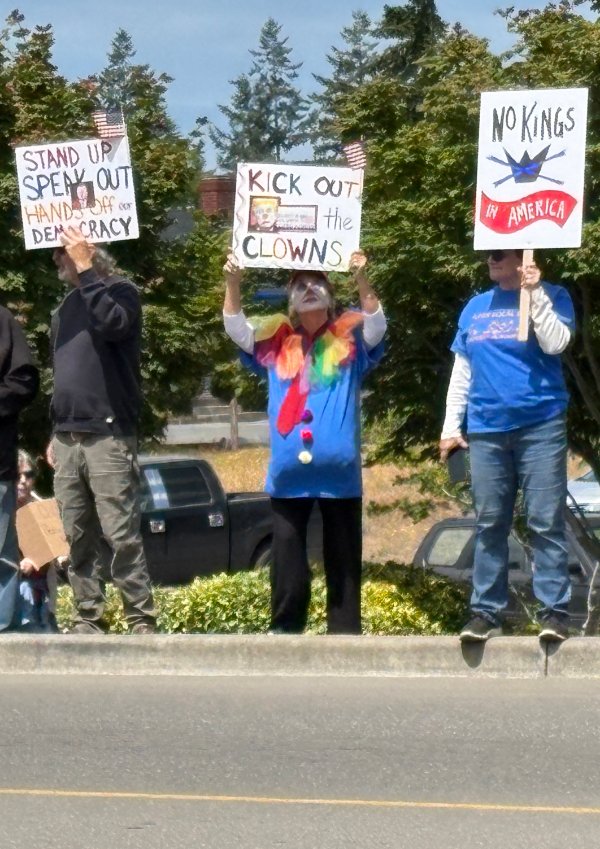 No kings demonstrators with signs
